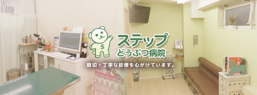 ステップどうぶつ病院
