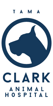 多摩クラーク動物病院