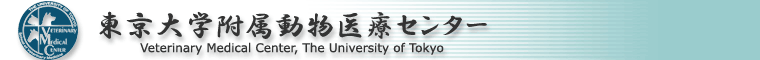 東京大学付属動物医療センター