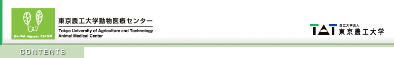 東京農工大学動物医療センター